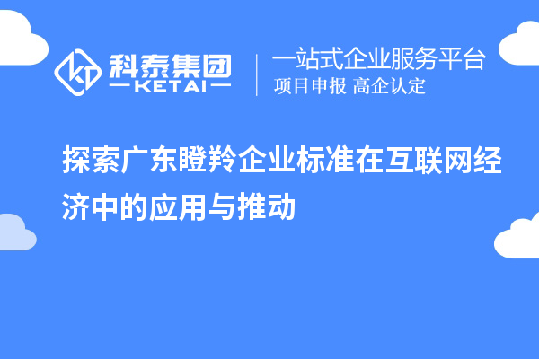 探索廣東瞪羚企業(yè)標(biāo)準(zhǔn)在互聯(lián)網(wǎng)經(jīng)濟中的應(yīng)用與推動