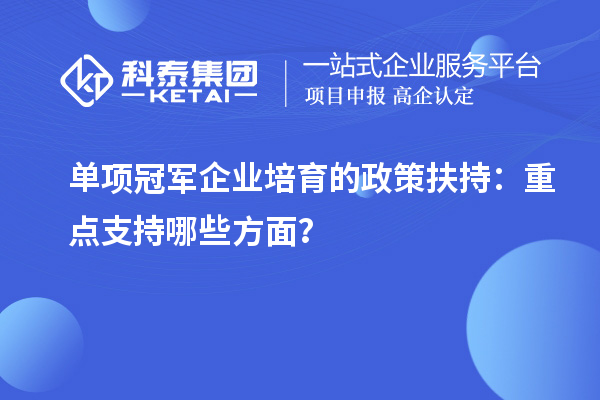 單項(xiàng)冠軍企業(yè)培育的政策扶持：重點(diǎn)支持哪些方面？