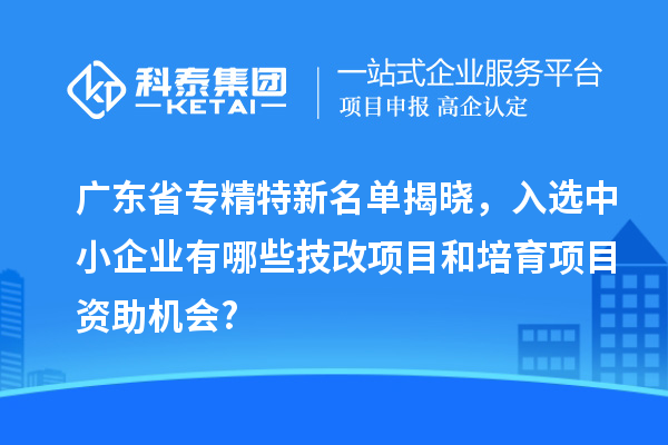 廣東省專精特新名單揭曉，入選中小企業(yè)有哪些技改項目和培育項目資助機會?