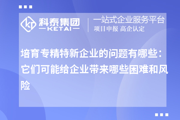 培育專精特新企業(yè)的問(wèn)題有哪些：它們可能給企業(yè)帶來(lái)哪些困難和風(fēng)險(xiǎn)