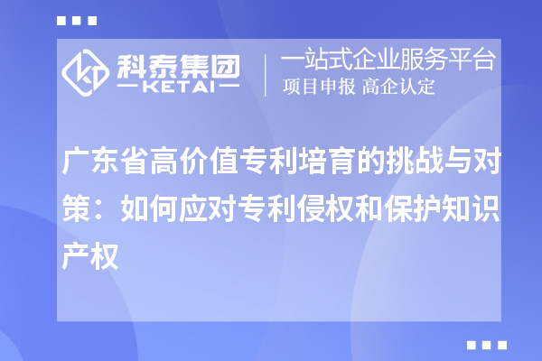 廣東省高價(jià)值專(zhuān)利培育的挑戰(zhàn)與對(duì)策：如何應(yīng)對(duì)專(zhuān)利侵權(quán)和保護(hù)知識(shí)產(chǎn)權(quán)