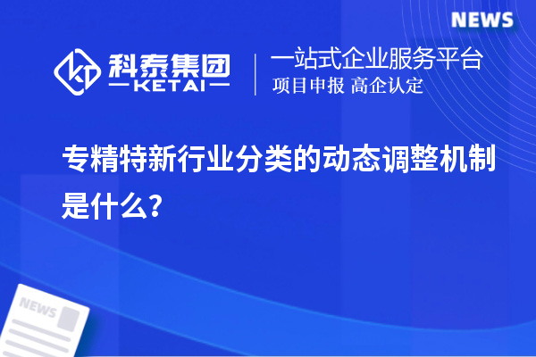 專精特新行業(yè)分類的動(dòng)態(tài)調(diào)整機(jī)制是什么？
