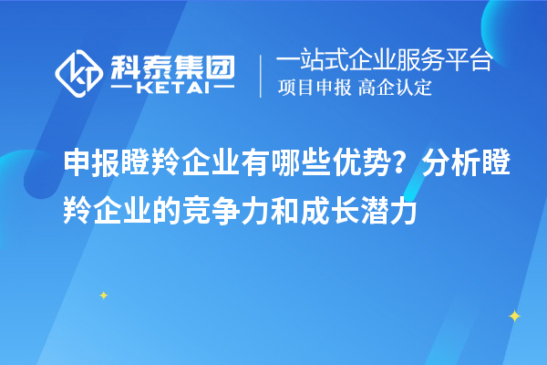 申報瞪羚企業(yè)有哪些優(yōu)勢？分析瞪羚企業(yè)的競爭力和成長潛力