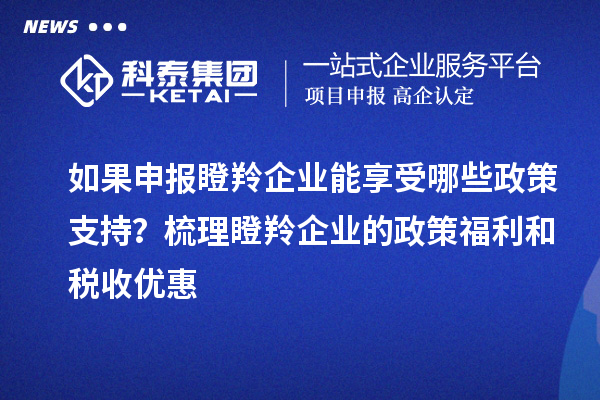 如果申報瞪羚企業(yè)能享受哪些政策支持？梳理瞪羚企業(yè)的政策福利和稅收優(yōu)惠