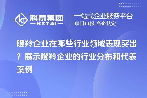 瞪羚企業(yè)在哪些行業(yè)領(lǐng)域表現(xiàn)突出?展示瞪羚企業(yè)的行業(yè)分布和代表案例