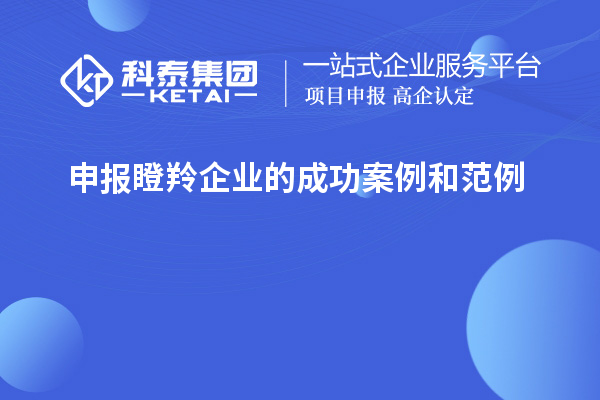 申報(bào)瞪羚企業(yè)的成功案例和范例