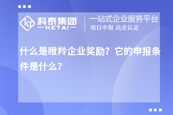 什么是瞪羚企業(yè)獎(jiǎng)勵(lì)？它的申報(bào)條件是什么？