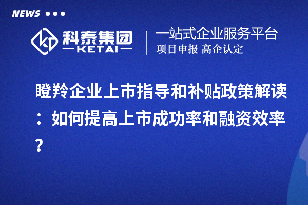 瞪羚企業(yè)上市指導和補貼政策解讀：如何提高上市成功率和融資效率？
