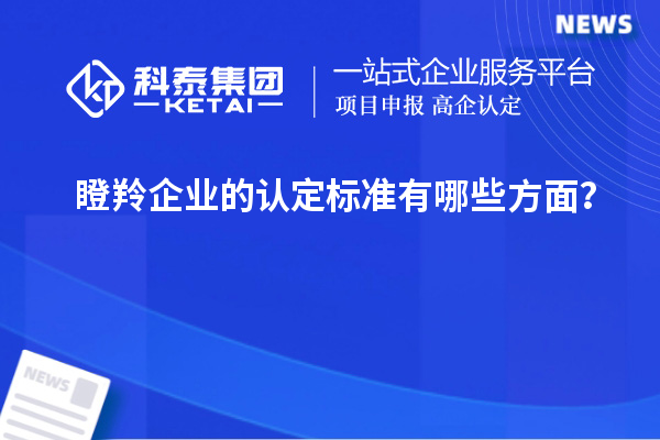 瞪羚企業(yè)的認定標準有哪些方面？