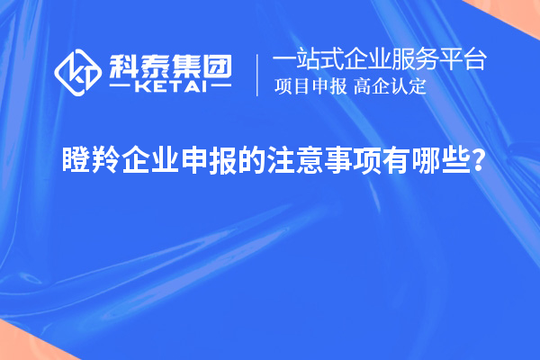瞪羚企業(yè)申報的注意事項有哪些？