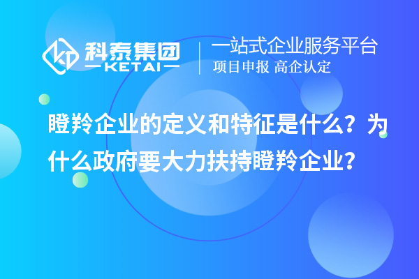 瞪羚企業(yè)的定義和特征是什么？為什么政府要大力扶持瞪羚企業(yè)？