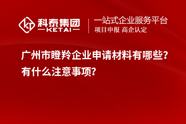 廣州市瞪羚企業(yè)申請材料有哪些？有什么注意事項？