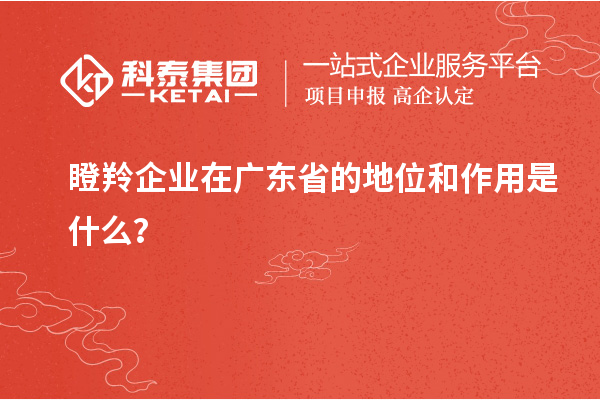 瞪羚企業(yè)在廣東省的地位和作用是什么？