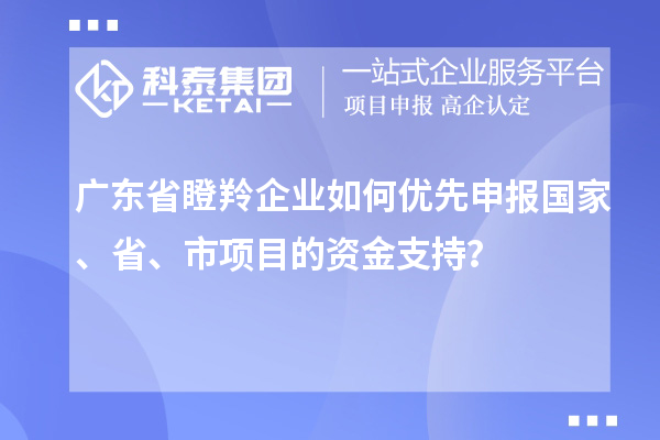 廣東省瞪羚企業(yè)如何優(yōu)先申報(bào)國家、省、市項(xiàng)目的資金支持？