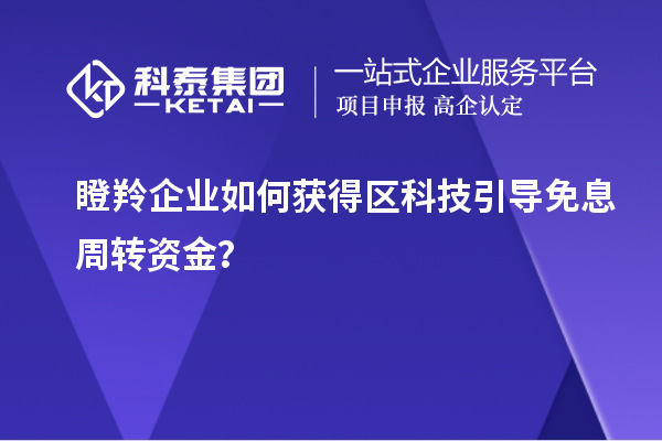 瞪羚企業(yè)如何獲得區(qū)科技引導(dǎo)免息周轉(zhuǎn)資金？