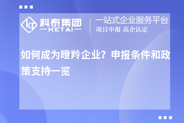 如何成為瞪羚企業(yè)？申報(bào)條件和政策支持一覽