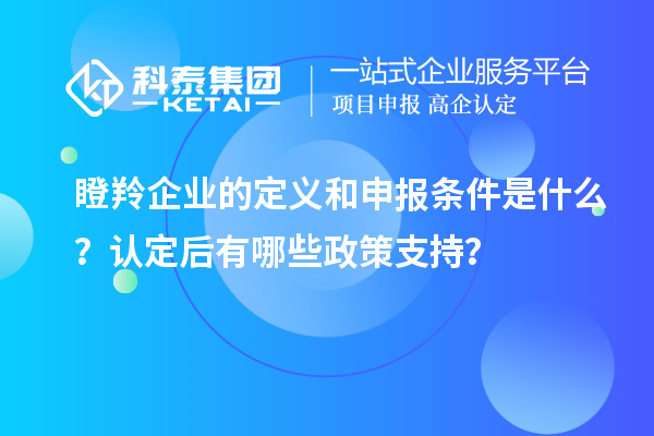 瞪羚企業(yè)的定義和申報(bào)條件是什么？認(rèn)定后有哪些政策支持？