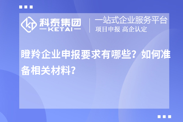瞪羚企業(yè)申報(bào)要求有哪些？如何準(zhǔn)備相關(guān)材料？