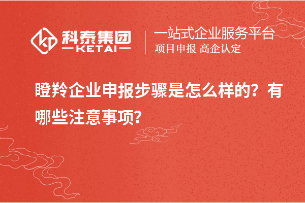 瞪羚企業(yè)申報(bào)步驟是怎么樣的？有哪些注意事項(xiàng)？