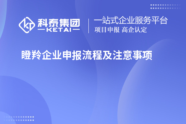 瞪羚企業(yè)申報(bào)流程及注意事項(xiàng)