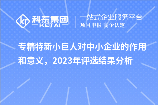 專精特新小巨人對中小企業(yè)的作用和意義，2023年評選結(jié)果分析