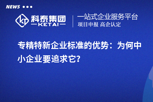 專精特新企業(yè)標(biāo)準(zhǔn)的優(yōu)勢(shì)：為何中小企業(yè)要追求它？