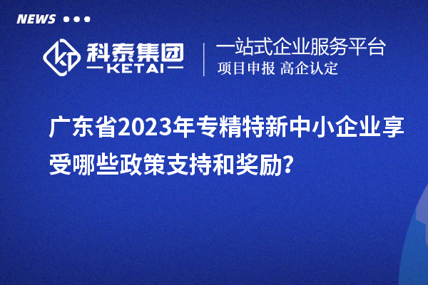 廣東省2023年專精特新中小企業(yè)享受哪些政策支持和獎勵？