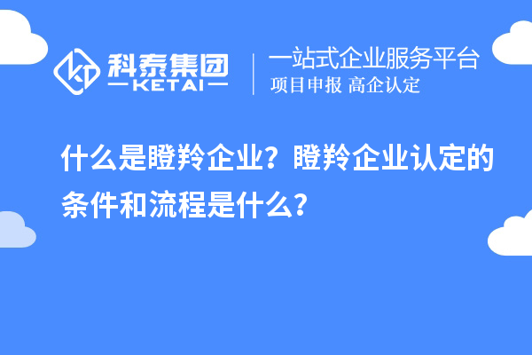 什么是瞪羚企業(yè)？瞪羚企業(yè)認定的條件和流程是什么？