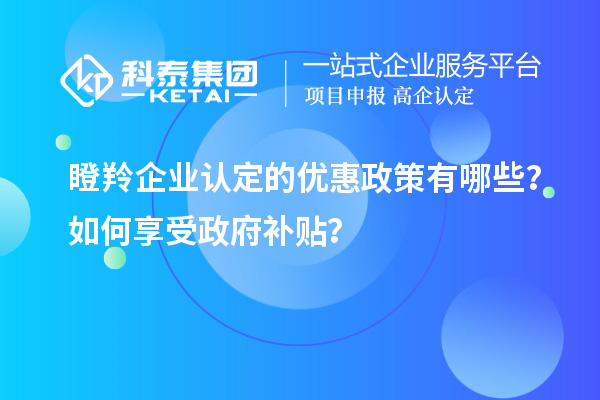 瞪羚企業(yè)認定的優(yōu)惠政策有哪些？如何享受政府補貼？