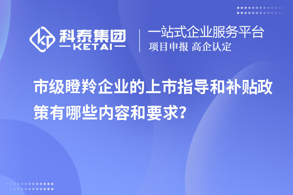 市級瞪羚企業(yè)的上市指導(dǎo)和補貼政策有哪些內(nèi)容和要求？