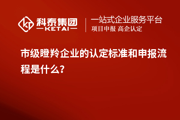 市級瞪羚企業(yè)的認定標(biāo)準(zhǔn)和申報流程是什么？