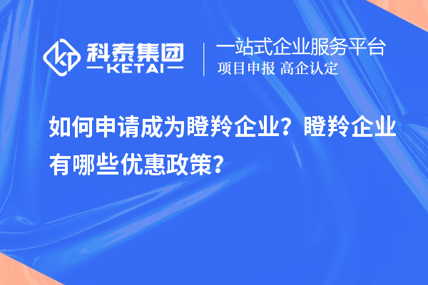 如何申請成為瞪羚企業(yè)？瞪羚企業(yè)有哪些優(yōu)惠政策？