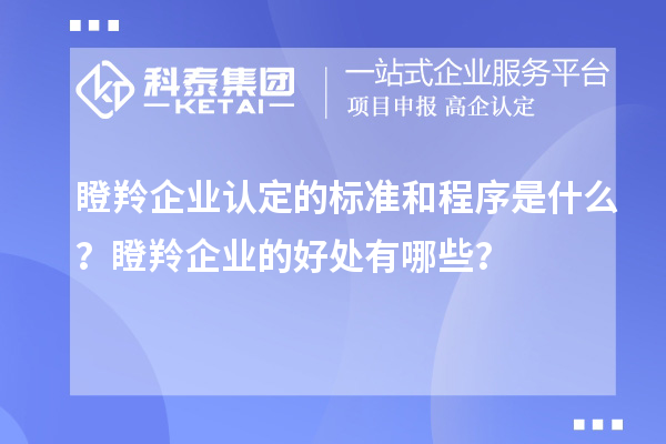 瞪羚企業(yè)認定的標(biāo)準(zhǔn)和程序是什么？瞪羚企業(yè)的好處有哪些？