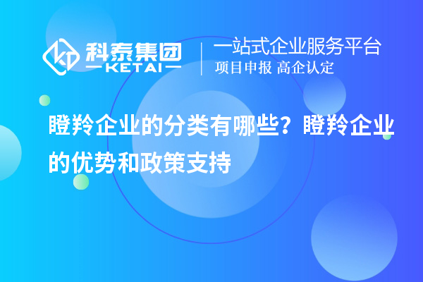 瞪羚企業(yè)的分類有哪些？瞪羚企業(yè)的優(yōu)勢和政策支持