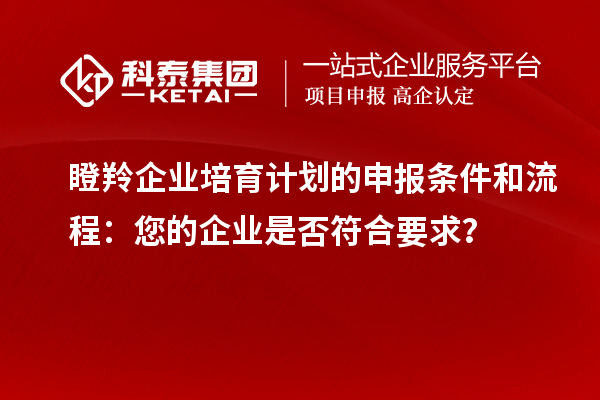 瞪羚企業(yè)培育計(jì)劃的申報(bào)條件和流程：您的企業(yè)是否符合要求？