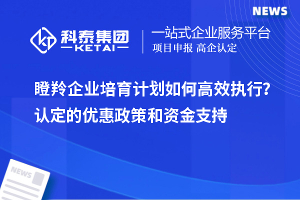 瞪羚企業(yè)培育計劃如何高效執(zhí)行？認定的優(yōu)惠政策和資金支持