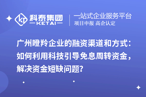 廣州瞪羚企業(yè)的融資渠道和方式：如何利用科技引導免息周轉(zhuǎn)資金，解決資金短缺問題？