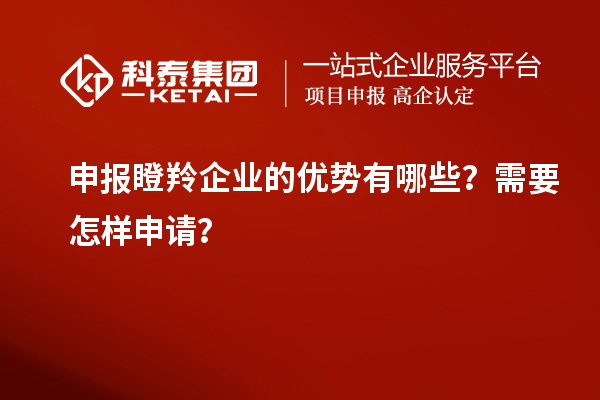 申報瞪羚企業(yè)的優(yōu)勢有哪些？需要怎樣申請？