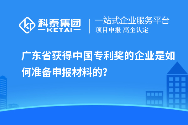 廣東省獲得中國專利獎的企業(yè)是如何準備申報材料的？