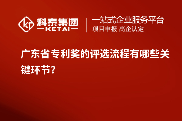 廣東省專利獎的評選流程有哪些關(guān)鍵環(huán)節(jié)？