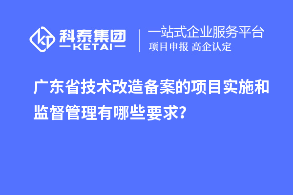 廣東省技術(shù)改造備案的項(xiàng)目實(shí)施和監(jiān)督管理有哪些要求？