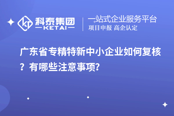 廣東省專精特新中小企業(yè)如何復(fù)核？有哪些注意事項(xiàng)？