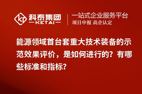 能源領(lǐng)域首臺(tái)套重大技術(shù)裝備的示范效果評(píng)價(jià)，是如何進(jìn)行的？有哪些標(biāo)準(zhǔn)和指標(biāo)？