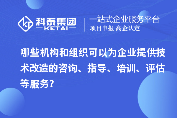 哪些機構和組織可以為企業(yè)提供技術改造的咨詢、指導、培訓、評估等服務？