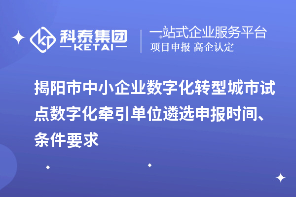 揭陽市中小企業(yè)數(shù)字化轉(zhuǎn)型城市試點(diǎn)數(shù)字化牽引單位遴選申報(bào)時(shí)間、條件要求