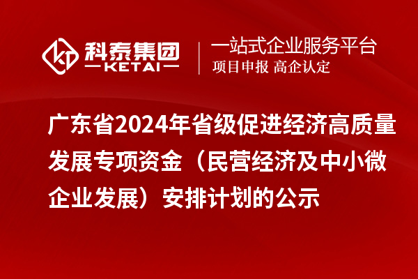 廣東省2024年省級促進經(jīng)濟高質量發(fā)展專項資金（民營經(jīng)濟及中小微企業(yè)發(fā)展）安排計劃的公示