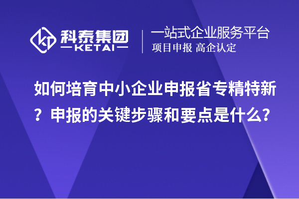 如何培育中小企業(yè)申報省專精特新？申報的關(guān)鍵步驟和要點是什么？