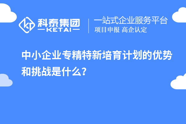 中小企業(yè)專精特新培育計(jì)劃的優(yōu)勢(shì)和挑戰(zhàn)是什么？