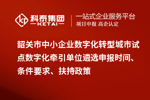 韶關(guān)市中小企業(yè)數(shù)字化轉(zhuǎn)型城市試點(diǎn)數(shù)字化牽引單位遴選申報(bào)時(shí)間、條件要求、扶持政策