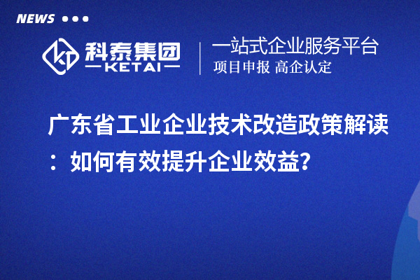 廣東省工業(yè)企業(yè)技術(shù)改造政策解讀：如何有效提升企業(yè)效益？